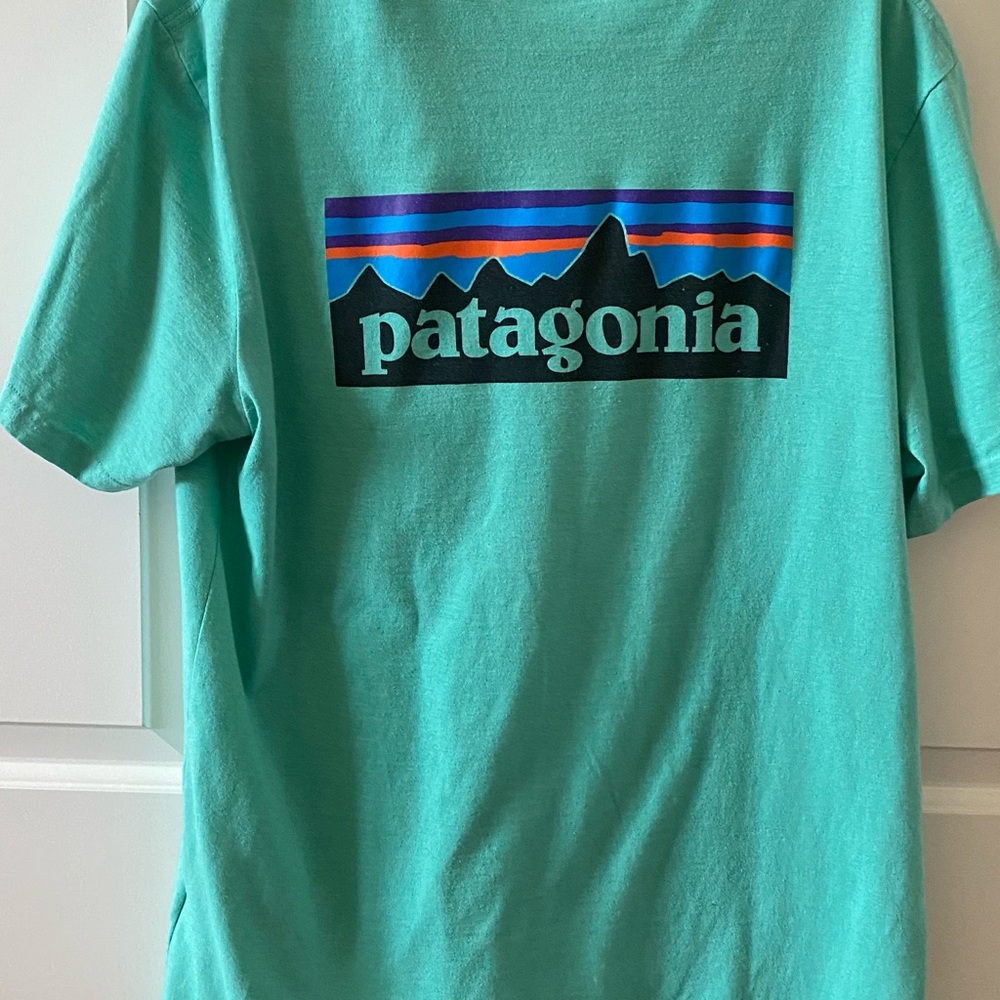 Patagonia Responsibili-tee